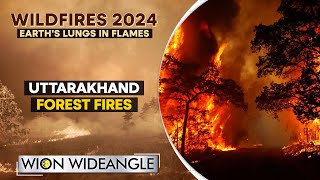 Uttarakhand forest fires spread rapidly | WION Wideangle