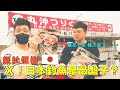 日本釣魚夢破滅！沖繩釣魚費用公開！神話般的釣場卻讓人無法負擔？#沖繩釣魚 #日本釣具展   ​@JENGANADI