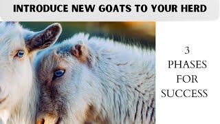 Introducing New Goats Into Your Herd