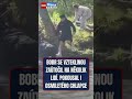 👀🦫 Bobr nakažený vzteklinou pokousal v New Jersey několik lidí včetně osmiletého chlapce.