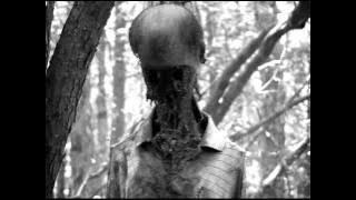 Xasthur - Screaming At Forgotten Fears 2007