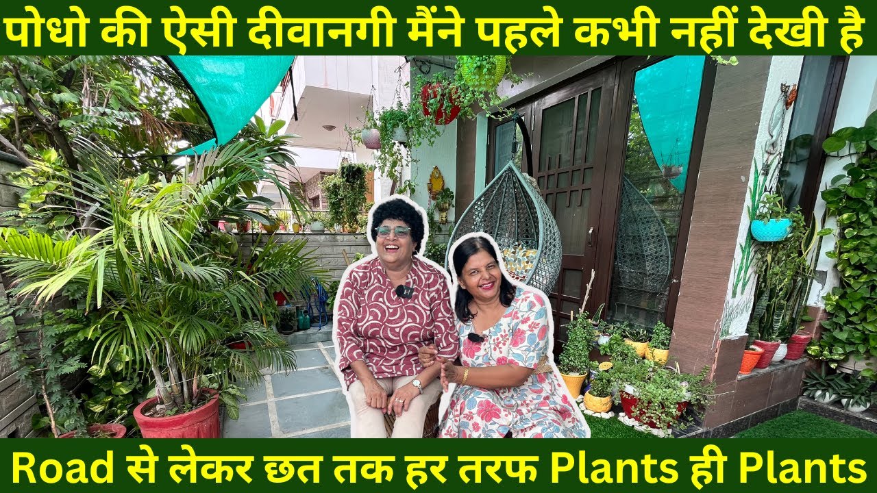 बागवानी की ऐसी लत कि घर के हर कोने को बना दिया गार्डन, लगाए 1000+ पौधे, Best Out Of Waste DIY