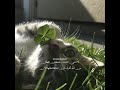 تذكر   اجر لي ولكم اجر لي ولكم ولوالدينا وللمسلمين قرآن كريم
