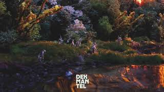 Обложка Freedom Engine The Very Strange DKMNTL070 Скачать Freedom Engine The Very Strange DKMNTL070