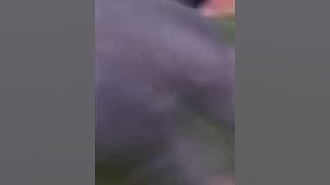 Click on me I DARE YOU! #1 Tiktok