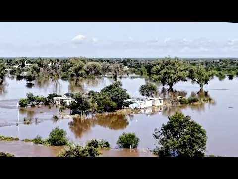 Climate change, El Niño revved up Hurricane Polo, especially warming, study says