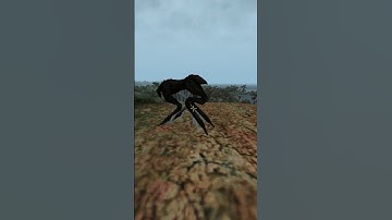 Killing the adoring fan in Morrowind every day until Skywind and Skyblivion are released Day - 192