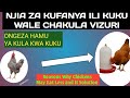 SABABU 7 ZA KUKU KUPUNGUZA KULA Why Your Chickens May Eat Less SABABU 7 ZA KUKU KUPUNGUZA KULA Why Your Chickens May Eat Less