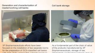 Cryopreservation and Cell Banking