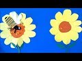 Pollination lesson with stop motion science animation for kids