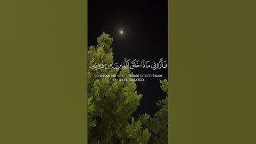 "تلاوة خاشعة للشيخ ياسر الدوسري | ﴿هذا خلق الله﴾ تهز القلوب"