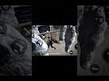 1v1 with my friend #3 #freefire #shorts #viral