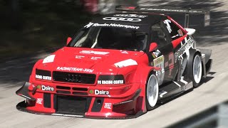 Top 10 Monsters || Alpe Del Nevegal Hillclimb 2022 - Audi S2R, Lancia Delta, Alfa 4C Zytek & More!