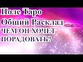 ЧЕМ ОН ХОЧЕТ ПОРАДОВАТЬ?