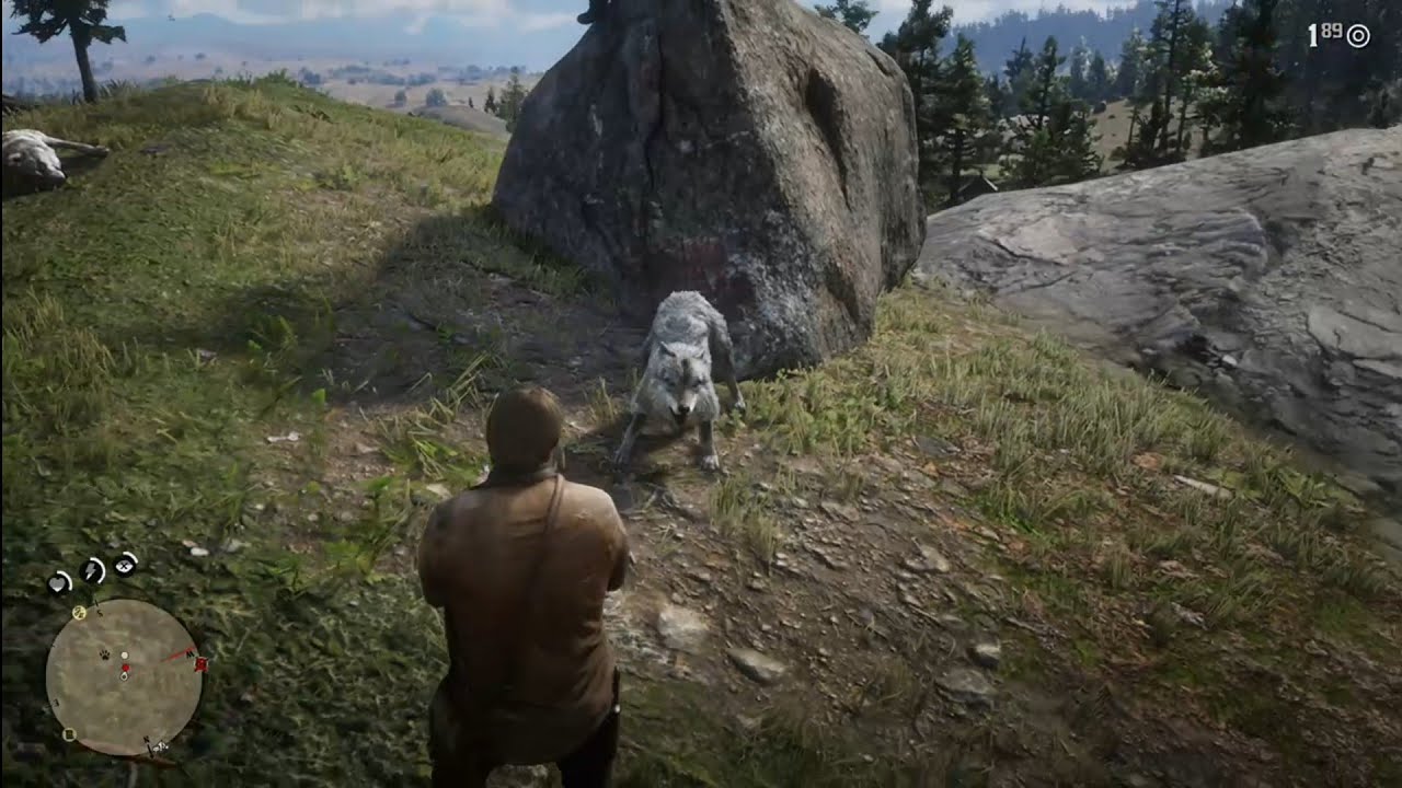 Saving a guy from Wolf attack - Red Dead Redemption 2 - YouTube