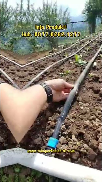 Selang Drip Murah untuk Irigasi Kebun Perkebunan