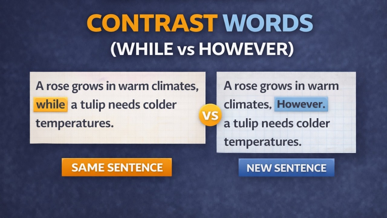 However While IELTS Writing Task 1 Vocabulary | Contrast Words (While vs However ...