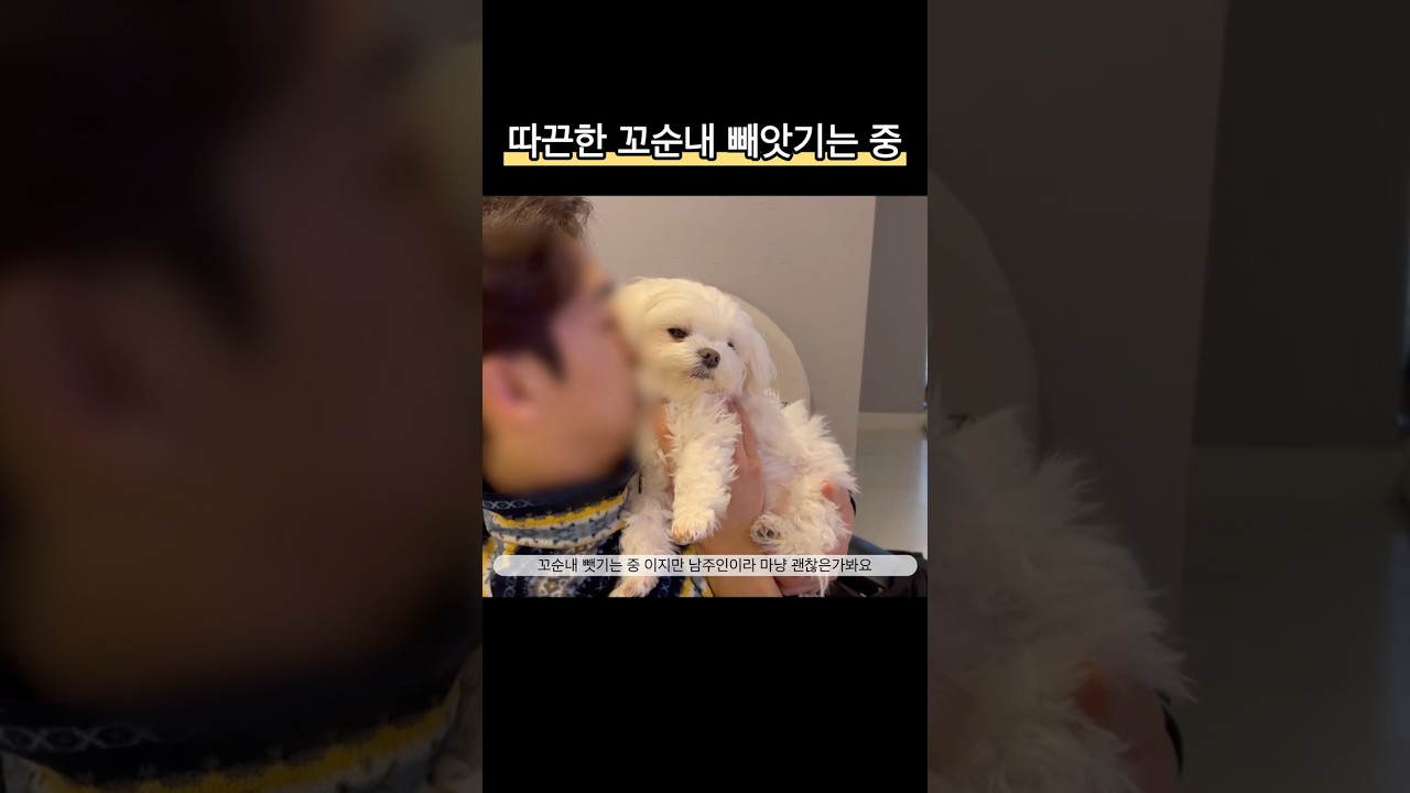 상부상조하는 사이