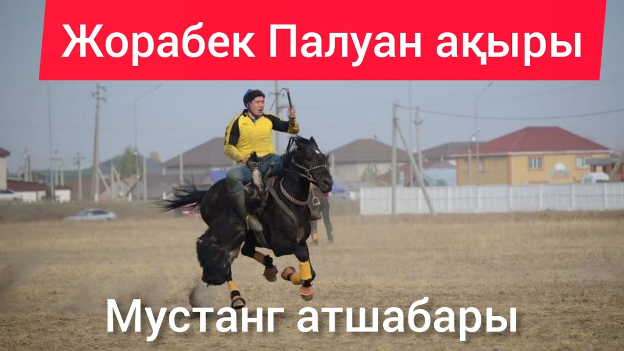 Мустанг кокпар 06.02.2023. Жорабек Палуан ақырын салды. Ержан тойбасшы.🔥🔥🔥