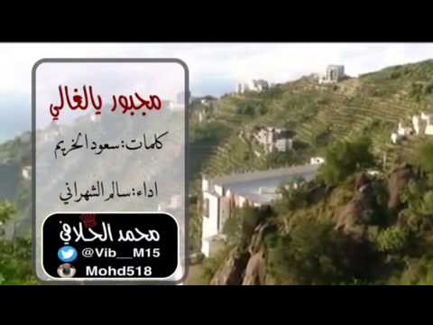 شيلة مجبور يالغالي اداء سالم الشهراني