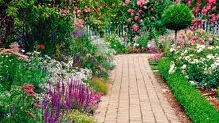 LIBRA JUNE 2016 MID-MONTH