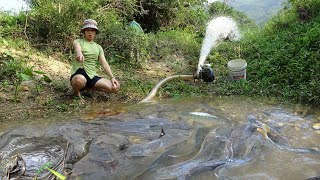 Pump Fishing Technology - The Girl Who Pumps Water Outside The Natural Lake Catch A Lot Of Big Fish
