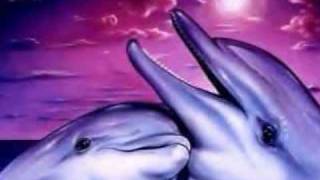 images dauphins images dauphins