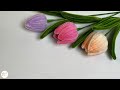 How to make special Tulip Petals to create 3 different versions of tulips with Pipe Cleaner !