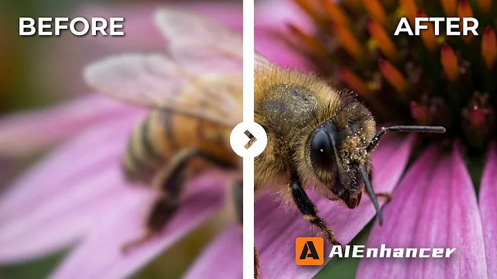 Best Free Tool for Restoring Images (AVAIL FAST) | AI Enhancer | Background Remover and MORE!