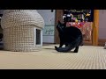 【パパ通信】これが天スタイル