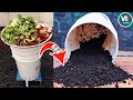 How to make compost at home  kitchen waste compost update