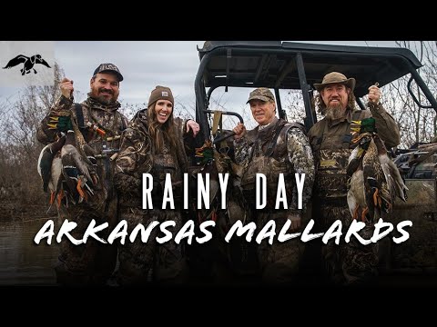 Rainy Day Arkansas Mallards | Duck Hunting 2021