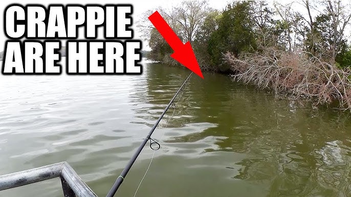 Fishing with Twister Tail Grubs & The Lake FLOODED! (Spring