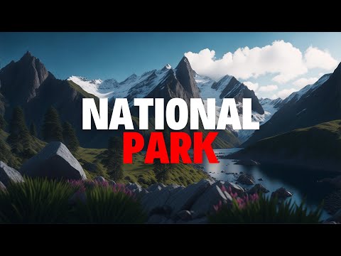 Video: New Zealand's Top National Parks