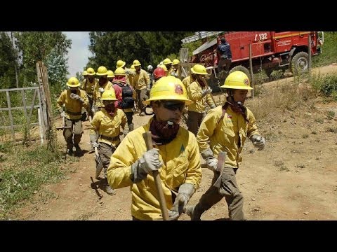 Cuatro regiones de Chile en alerta sanitaria por incendios forestales BBC MUNDO videos for cats