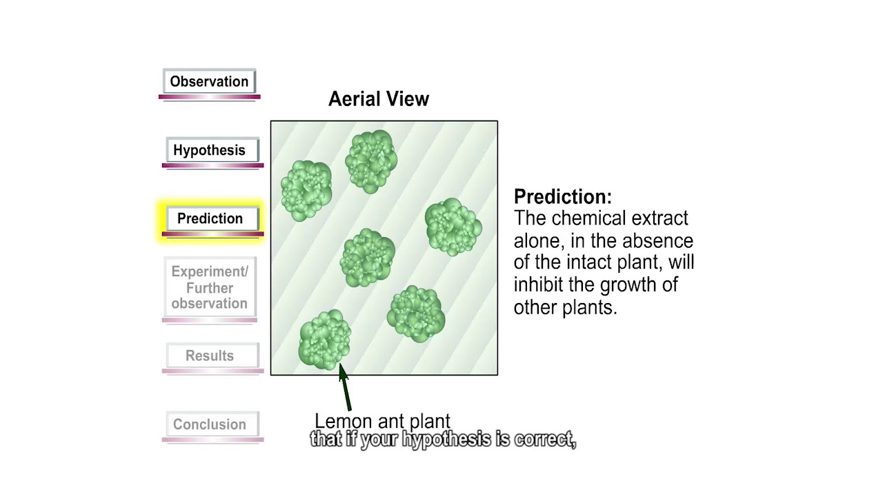 Chapter 1 Human Biology The Scientific Method - YouTube