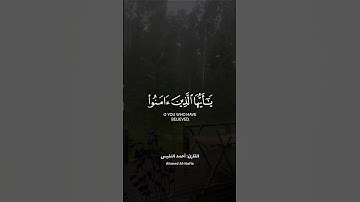 القارئ : أحمد النفيس حالات واتس اب دينية 💛