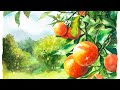 투명하고 산뜻한 오렌지나무 수채화 Orange tree watercolors / 그림같수