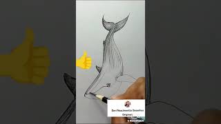 Como Desenhar A Baleia-Jubarte Rápido E Fácil Trabalho De Artes