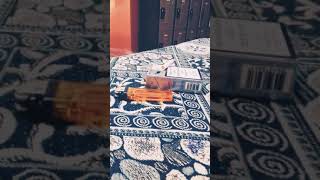 Amed Şehrim Benim Ilkay Akkaya