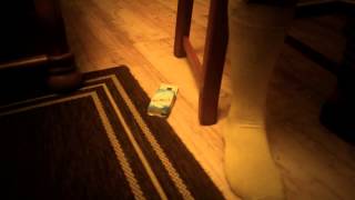 Motivatiefilm Groepsdynamiek