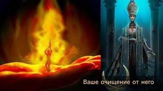 ВЫ ОЧИЩЕНЫ... КАК МУЖЧИНА😶 СЕБЯ ЧУВСТВУЕТ ТЕПЕРЬ #милериа #таро