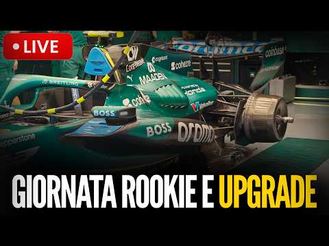 Video F1 UNGHERIA - Prove Libere 1 e 2 - Analisi e Telemetria | 13:30 & 17:00 | In Mezzo LMU/F2/F3