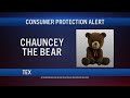 ALERT: DO NOT ENGAGE WITH CHAUNCEY THE BEAR