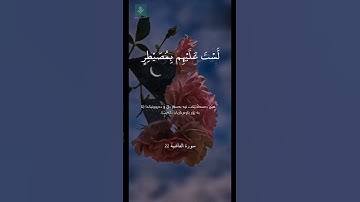 أجمل حالات واتس اب دينية💚 قرآن كريم💞{أفلا ينظرون إلى الإبل كيف خلقت}‌‌☆حياة القلوب 💟🕊️