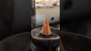 Heavy Rain Camping | Enjoying in Disaster Situation