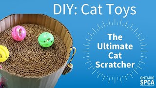 DIY cat food puzzles - Ontario SPCA and Humane Society