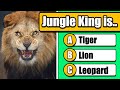 General knowledge quiz 4  animals 