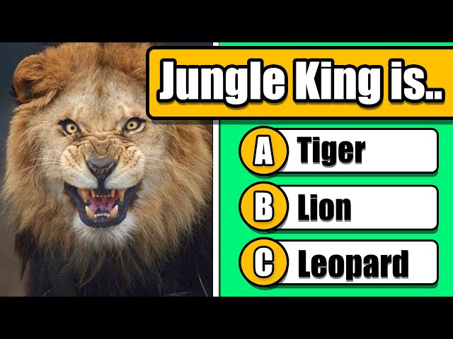 General Knowledge Quiz #4 - Animals 🐶🐱🐨 class=