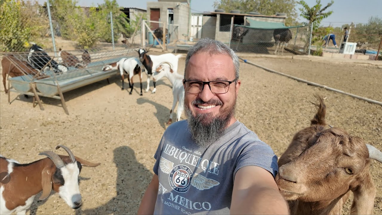 ترتيب الأرضية للبناء الجديد، إختيارين لتثبيت مصفى حوض الاسماك المكثف، كيفية تحضير السماد العضوي(266)